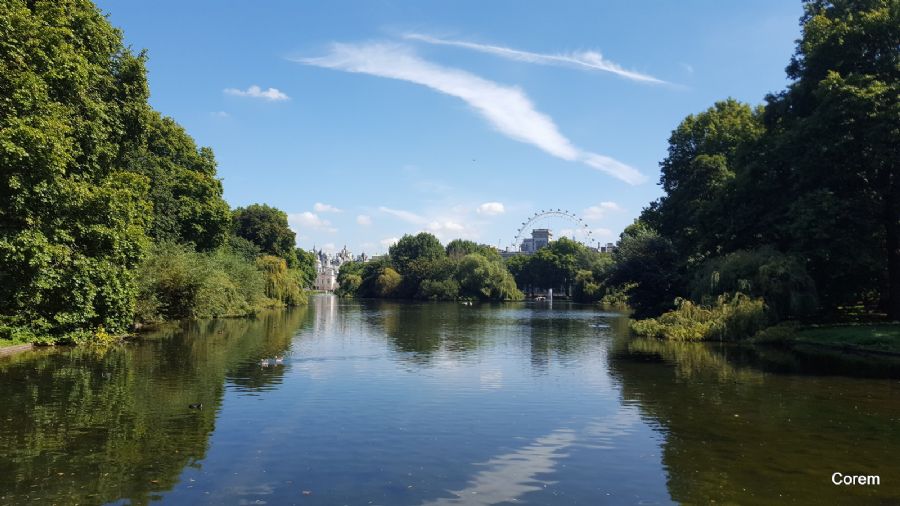 פארק סנט ג'יימס